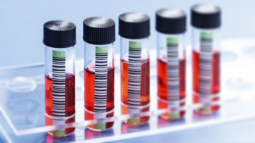 LAB · Metodología y sistematización.