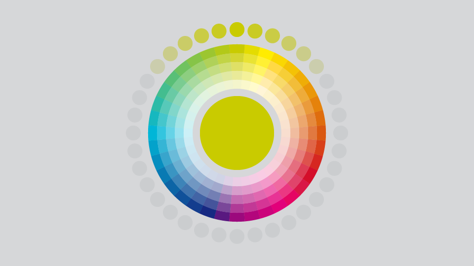 Endoscopia San Gerónimo (ESG) · Esquemas de uso del color