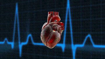 Evaluación de la aptitud cardiovascular física y deportiva. Evaluación de la aptitud cardiovascular física y deportiva.