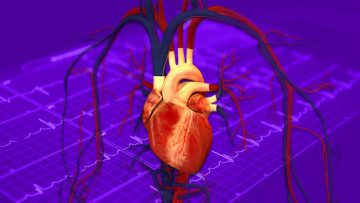 Evaluación de la aptitud cardiovascular física y deportiva. Evaluación de la aptitud cardiovascular física y deportiva.
