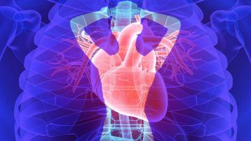 Aptitud cardiovascular física y deportiva en la vida cotidiana.