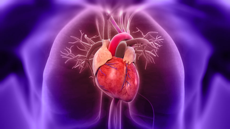 Importancia del Test de Esfuerzo Cardiopulmonar (TEC)
