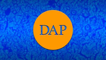 DAP: el logotipo. DAP: el logotipo.